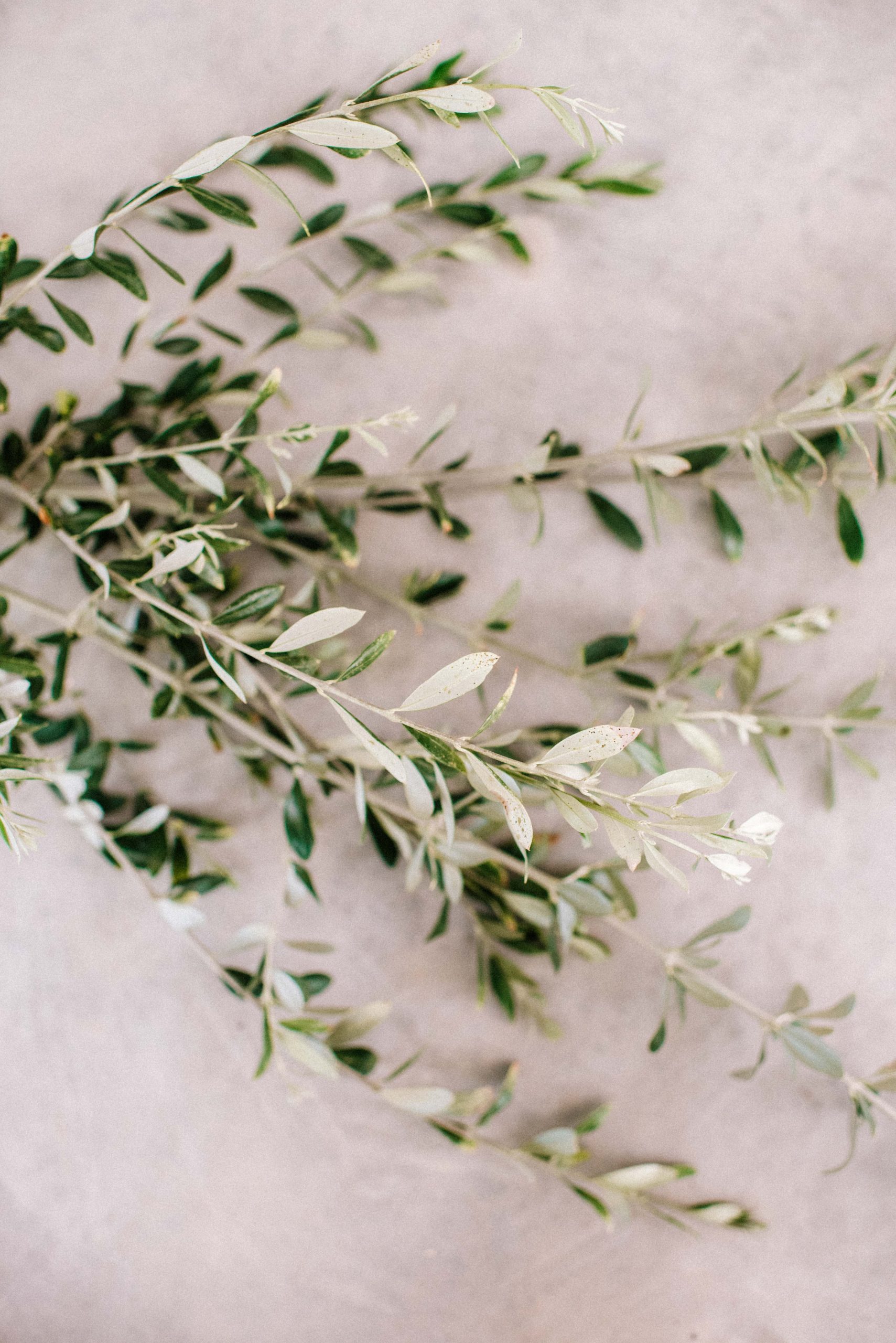 Tips & Tricks For Styling A Natural Festive Table